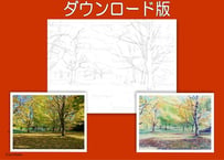 228d 秋の公園 (着彩見本付き)