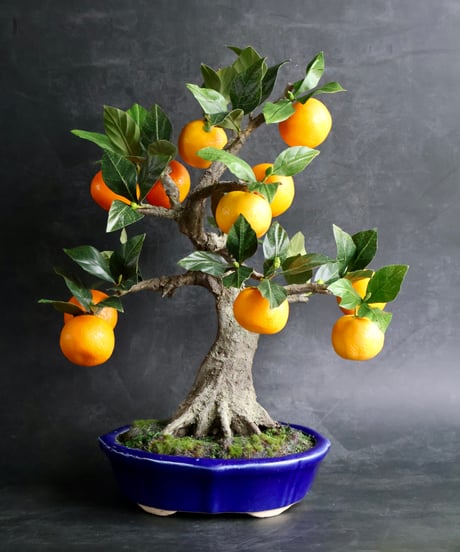 CATEGORY 青木悦子 | クラフト盆栽美術館 Artcraft Bonsai