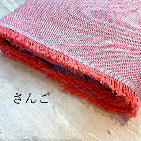 『Tsugaru 生成り×限定色』