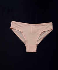 Gabrielle Peco Panty in Beige
