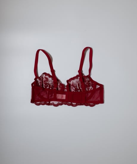 Simone Perele Intrigue Sheer Demi Bra in Red