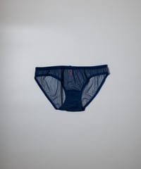 Cadolle Sheer Mesh Panty