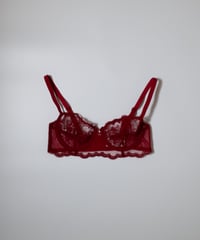 Simone Perele Intrigue Sheer Demi Bra in Red