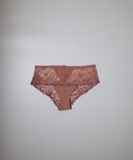 Simone Perele Delice Brief in Smokey Pink