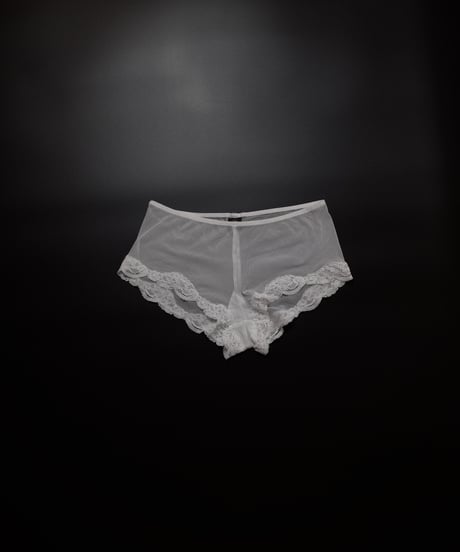 Only Hearts Tulle Lace Boy Brief in White