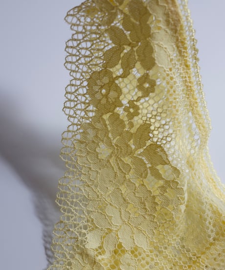Passionata Nina Lace Panty in Yellow
