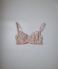 GP.ex Strawberry Wire Bra