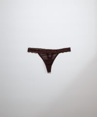 Yasmine Eslami Alexandra Thong in Chestnut