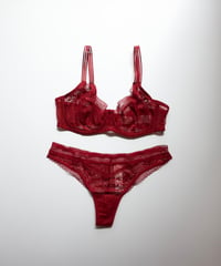Maddie Lace Wired Bra in Cherry