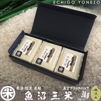 魚沼三米 魚沼産 コシヒカリ 真空パック ギフトセット 無洗米 3kg (1kg×3) チャック付 真空ブリックパック