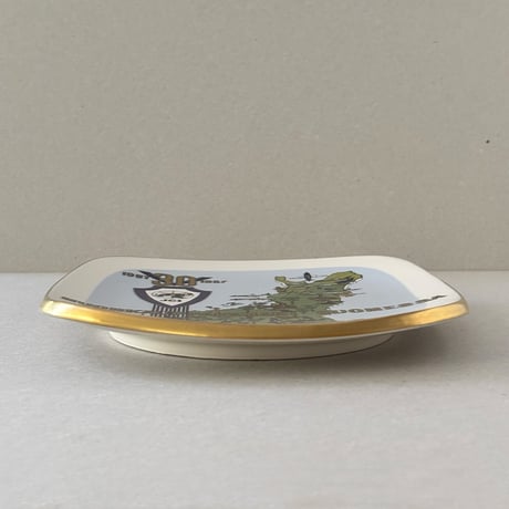 arabia map plate JCI 30th