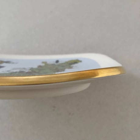 arabia map plate JCI 30th