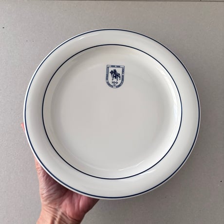 arabia arctica plate 23cm