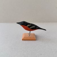Finland bird obje