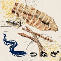 FDうなぎ