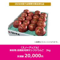 【スノーアップル】りんご