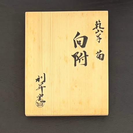 加藤利昇　乾山写菊向付　5客組