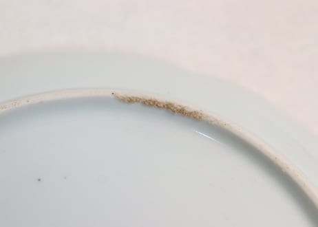 江戸後期染付牡丹図6.5寸皿①