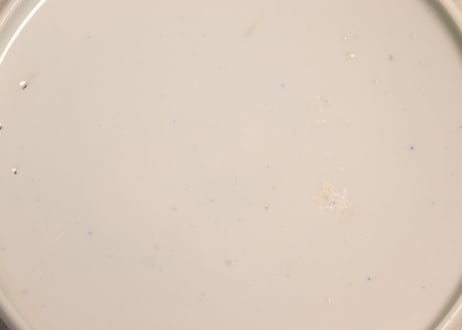 明治後期～大正銅判布袋様と唐子図蒸茶碗②高台ホツ