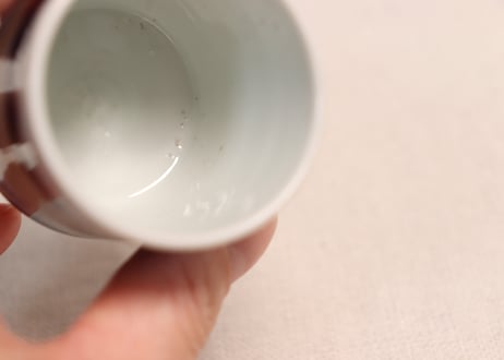 江戸幕末染付山水図のぞき