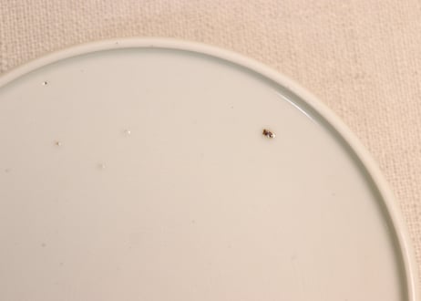 明治後期～大正銅判布袋様と唐子図蒸茶碗①