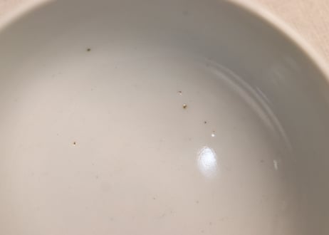 明治後期～大正銅判布袋様と唐子図蒸茶碗②高台ホツ