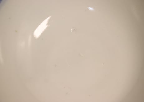 明治前期色絵菊図蓋茶碗