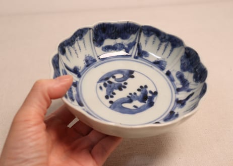 江戸後期染付草花割絵図なます皿④ノミホツ,少かたつき