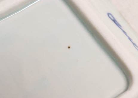 明治後期~大正染付牡丹図角皿