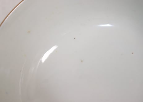 明治前期色絵龍と鳳凰図通り物蒸茶碗