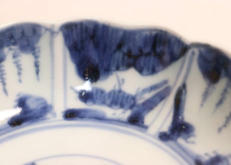 江戸後期染付草花割絵図なます皿④ノミホツ,少かたつき