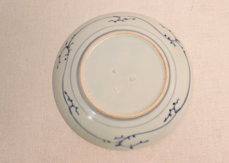 江戸後期墨弾松皮菱と松図6寸皿③少甘手,かたつき