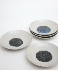 古染付菊紋皿5枚組【自在屋 夏の小さな即売会出品】