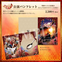ナマステ！踊る恋と革命のインドカリークリアファイル付きパンフレット