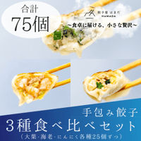 手包み餃子３種類食べくらべセット