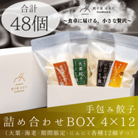 餃子4種詰め合わせBOX 4×12