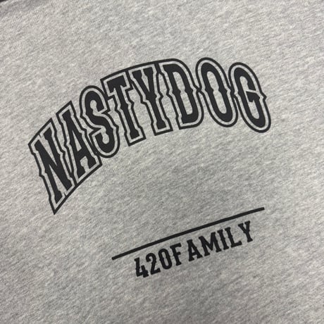 ND Logo Hoodie