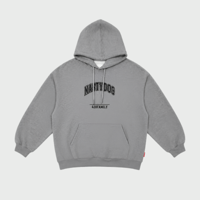 ND Logo Hoodie