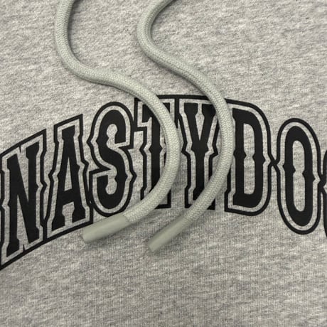 ND Logo Hoodie