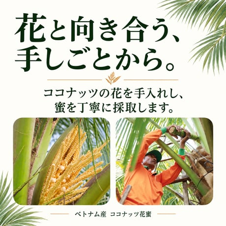有機ココナッツ花蜜 1.4kg