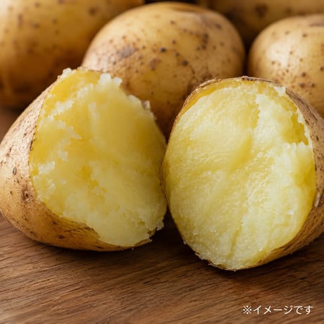 【送料無料・産地直送】有機赤土じゃがいも「デジマ」3kg｜広島県福山市産・M〜Lサイズ