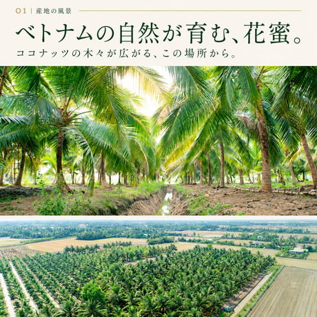 COCO花蜜シリーズお試し4点セット【おひとり様１点限り】