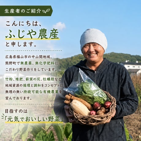 【送料無料・産地直送】有機赤土じゃがいも「デジマ」3kg｜広島県福山市産・M〜Lサイズ
