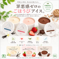 [ギフト/贈答用にピッタリ!] SOY MILK 有機アイスクリームセット