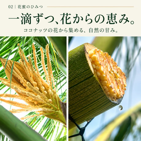 COCO花蜜シリーズお試し4点セット【おひとり様１点限り】