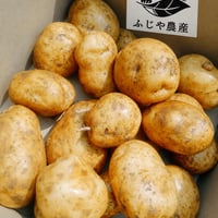 【送料無料・産地直送】有機赤土じゃがいも「デジマ」3kg｜広島県福山市産・M〜Lサイズ