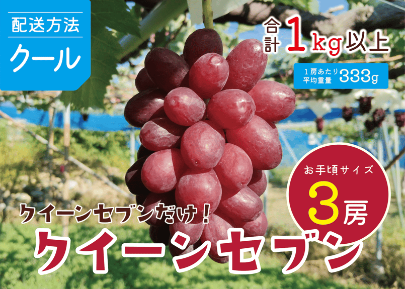 土日限定！クール便送料込み！訳アリ特価クイーンセブン3房　1キロ「以上」！ クール便】クイーンセブン“だけ”3房セット | 信州すざか ともよ
