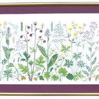 『草原の花々』30-4654