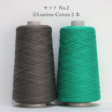【限定】 秋の大収穫セット No.2 【お一人様一点限り】