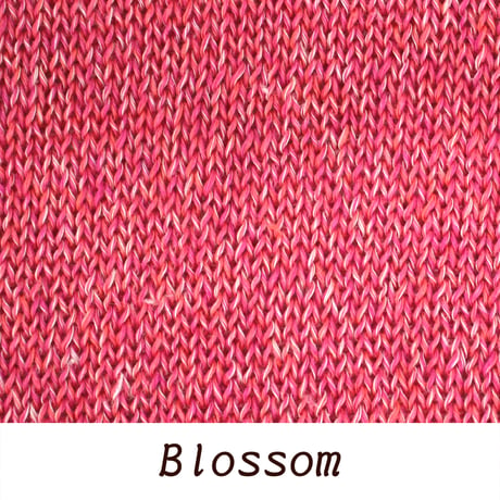 LISSAJOUS - リサージュ - / 1/4nm (合太) / 30g (120ｍ)巻き (2)